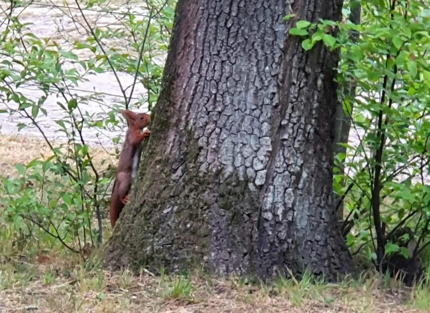 Familiehuis De Spar Otterlo Dış mekan fotoğraf